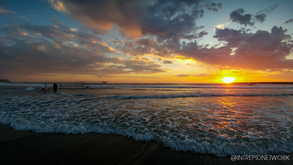 Dog Beach Sunset