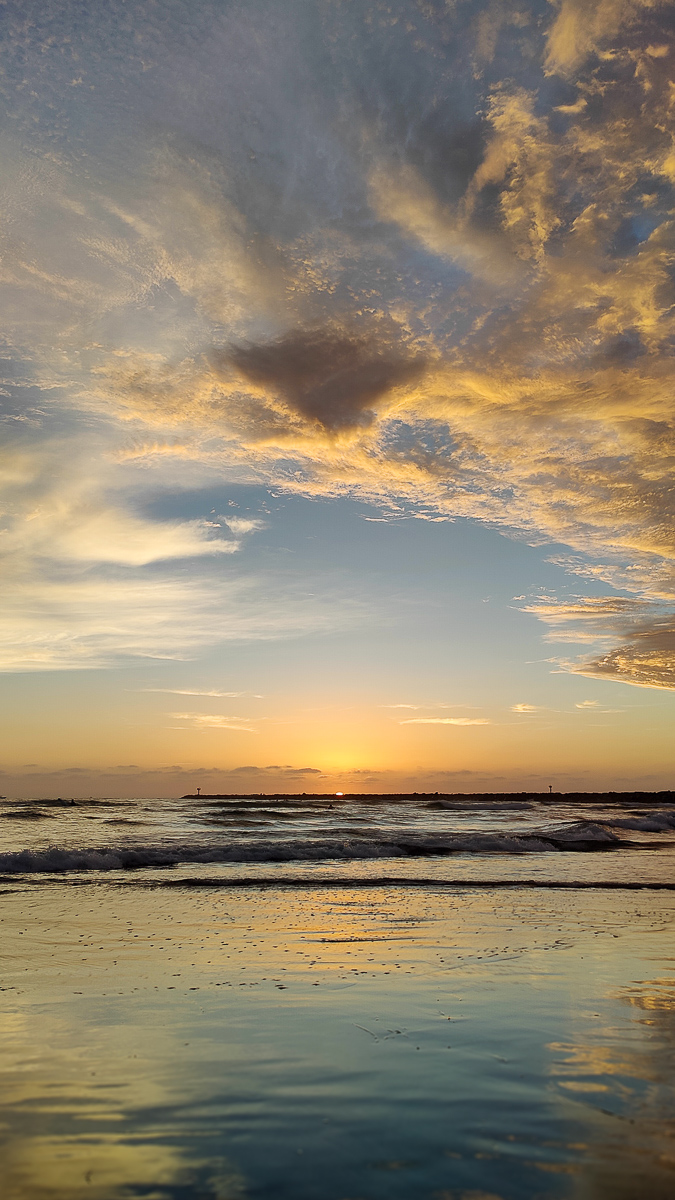 Dog Beach Summer Sunsets